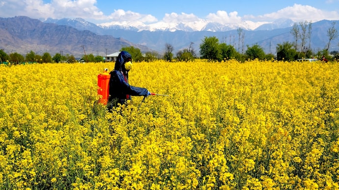 pesticide paraquat weed killer herbicide toxic harmful chemicals used farming agriculture ministry central insecticides board registration