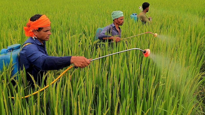 pesticide paraquat weed killer herbicide toxic harmful chemicals used farming agriculture ministry central insecticides board registration