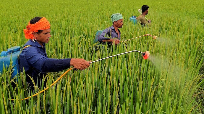 pesticide paraquat weed killer herbicide toxic harmful chemicals used farming agriculture ministry central insecticides board registration