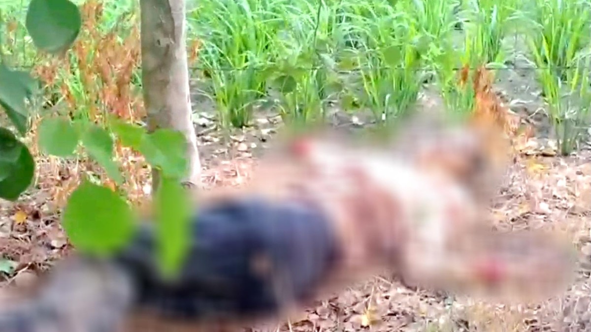 Punjab woman, 20, killed by family after love marriage, body dumped in field