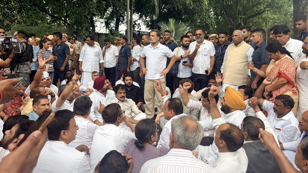 Rahul Gandhi leads Congress protest outside PM's residence over CJP crackdown