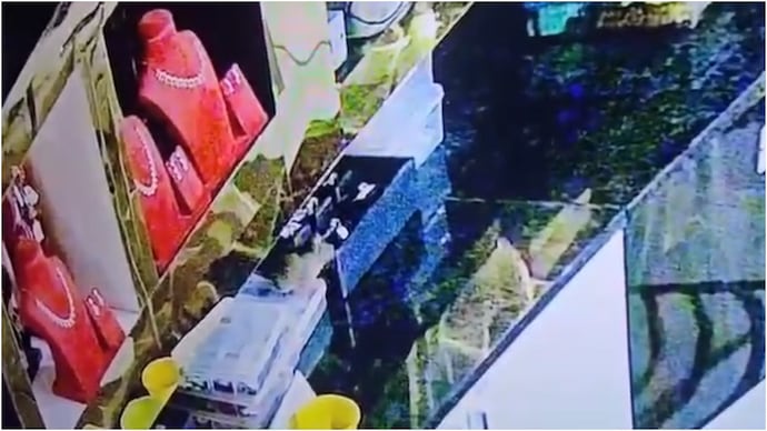 Rat steals jewellery worth Rs 10 lakh from Karnataka store