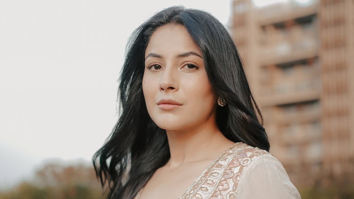 Shehnaaz Gill reflects on her journey in Bollywood.