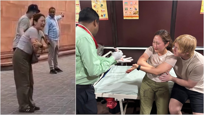 South Korean tourist cries in pain after monkey attack at Taj Mahal