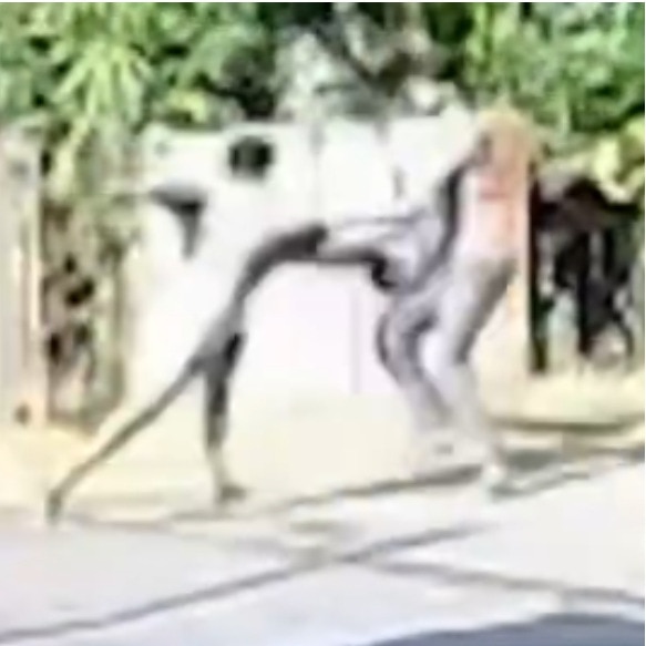 Tamil Nadu railway staff's heroic act saves man seconds before speeding train