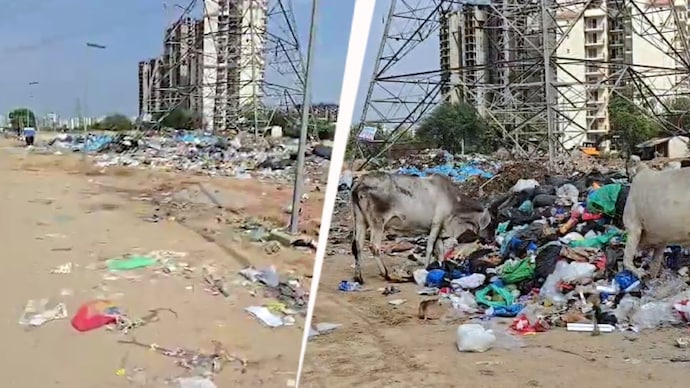 The contractual employees used AI pics to claim clean-up.