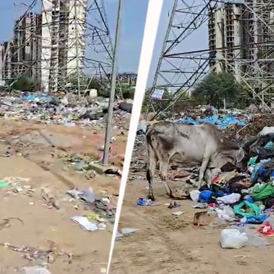 Civic staff use AI-generated clean-up pics, GPS spoofing to skip work; 4 sacked