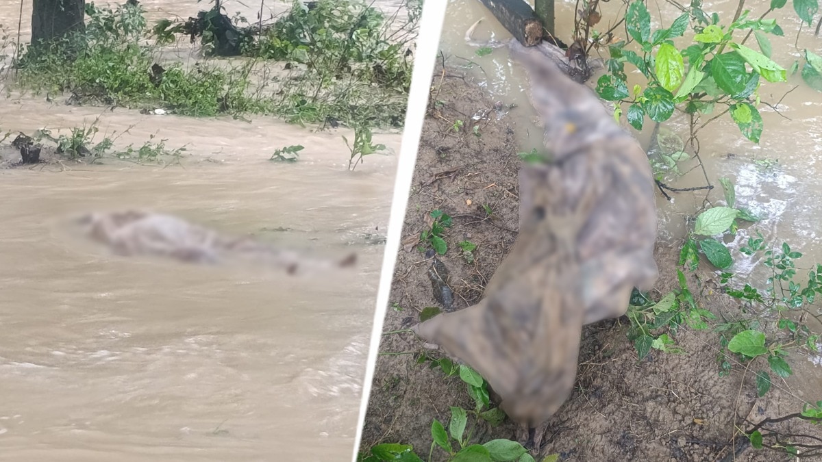 Several bodies washed out of graves after heavy rain floods UP cemetery