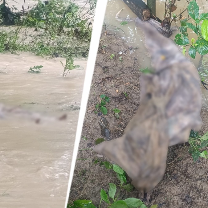Several bodies washed out of graves after heavy rain floods UP cemetery