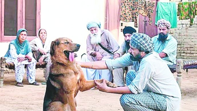 Thousands of dog-owners had to put pets to death in Punjab; a terrorism horror story