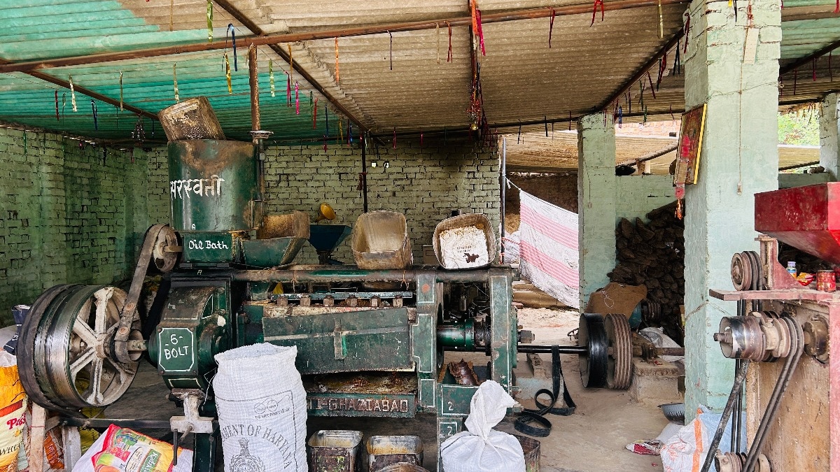 UP govt scheme helps Lucknow woman launch mustard oil mill. Here's how