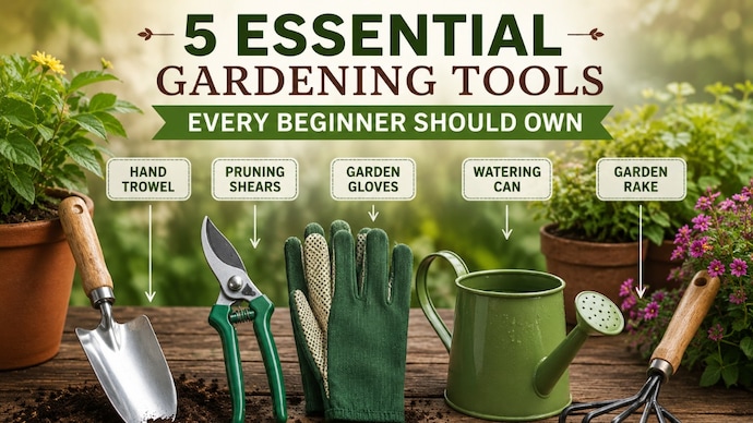 The piece sets out five basic gardening tools that can help beginners plant, prune and maintain a garden