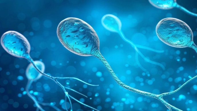 While women should not ignore their biological clock, men should not ignore theirs either.