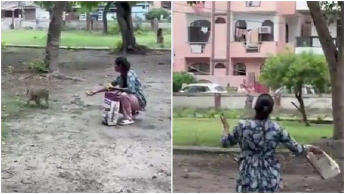 Woman refuses to stop feeding monkeys after neighbours object, confrontation is viral