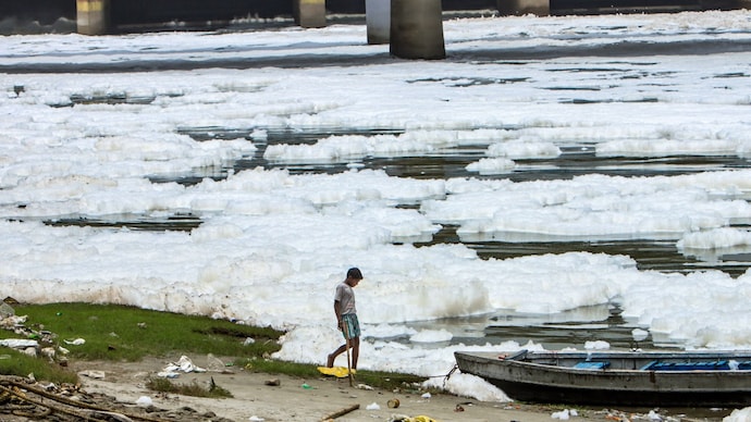 Yamuna river dead