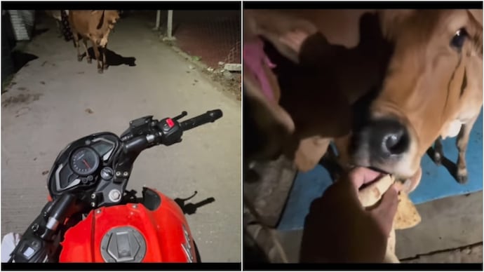 zomato rider