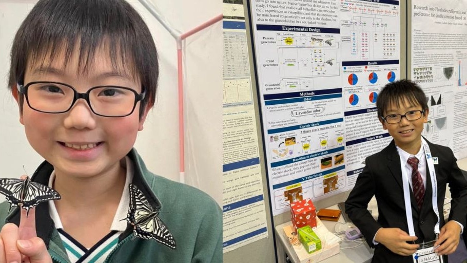 Can butterflies remember being caterpillars? A 10-year-old Japanese boy thinks so