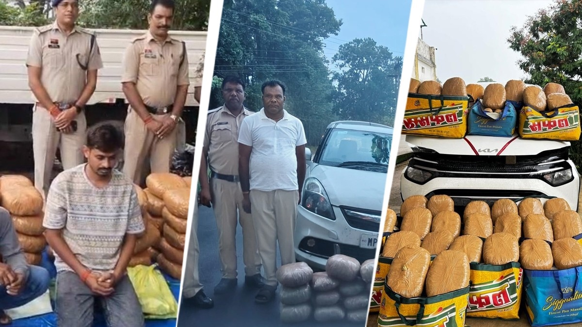 520-kg-marijuana-worth-rs-3-crore-seized-in-chhattisgarh--4-traffickers-arrested-283909899-16x9_0.jpg
