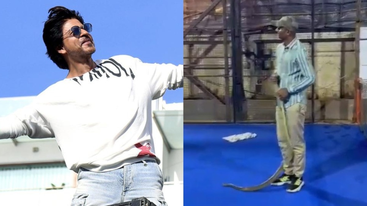 8-Foot Rat Snake Rescued from Shah Rukh Khan's Residence 'Mannat'