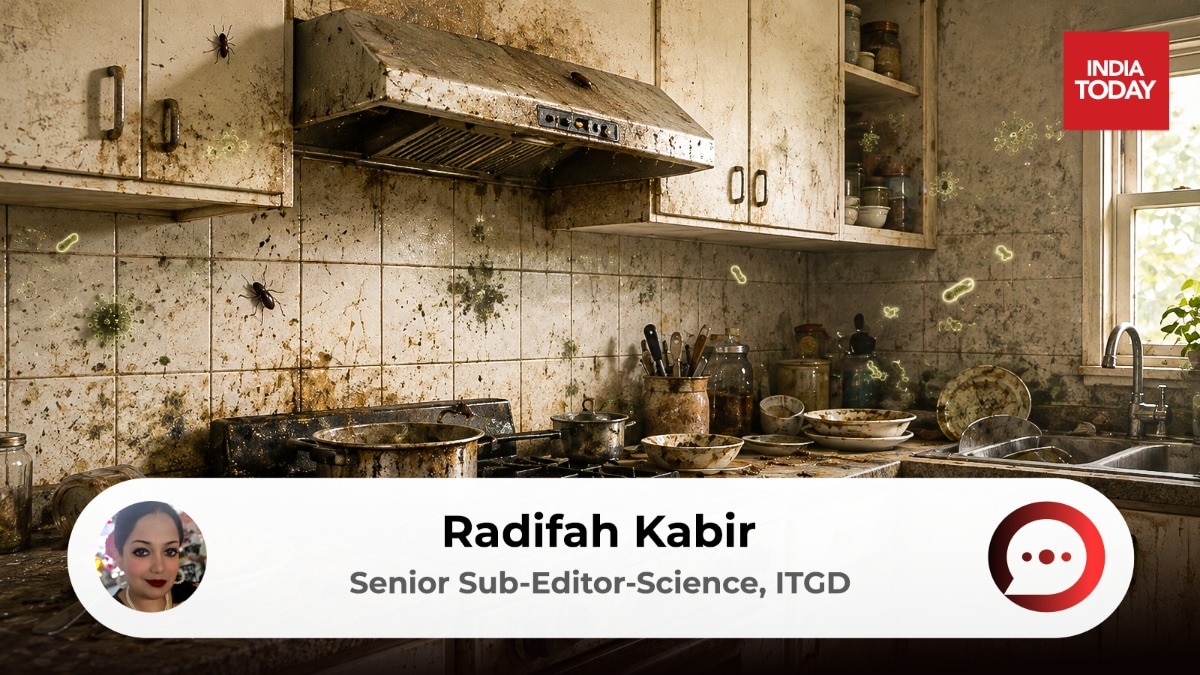 India's kitchens need food technologists to win bacterial wars, not brooms