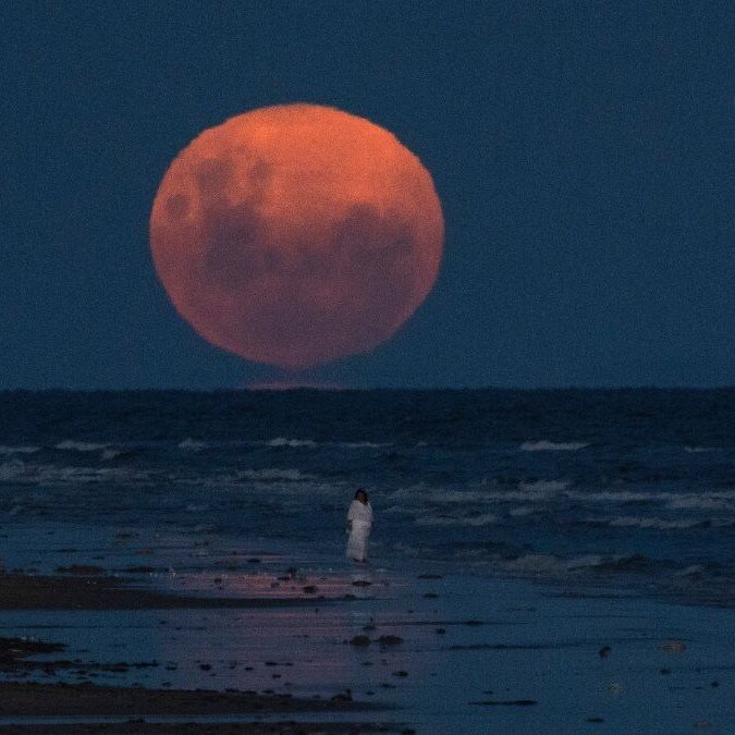 Watch LIVE: Partial lunar eclipse turns Moon orange, surface goes dark