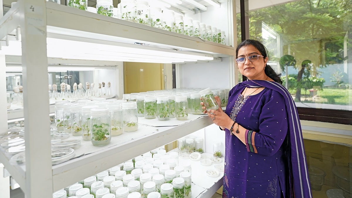 Learning from plants | Akanksha Singh, 39, Senior Scientist, CSIR-CIMAP, Lucknow