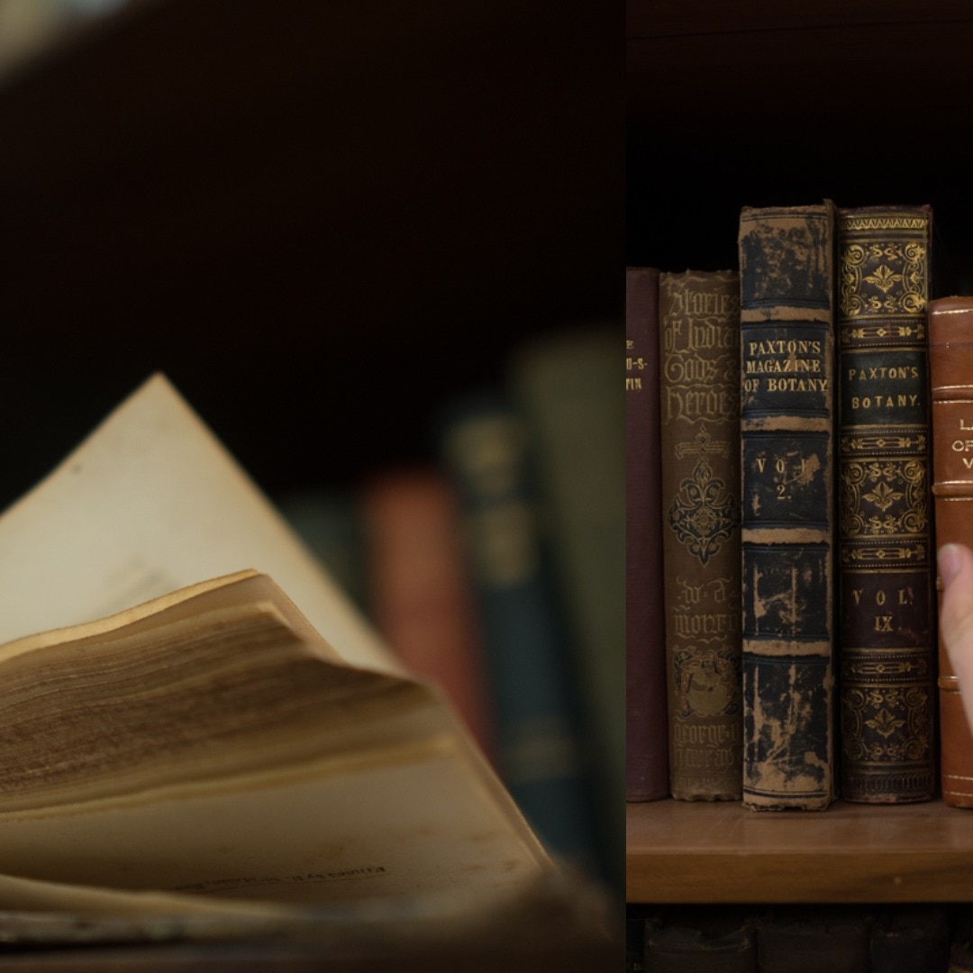 Rare books are going fast. Are others next in AI's hunt?