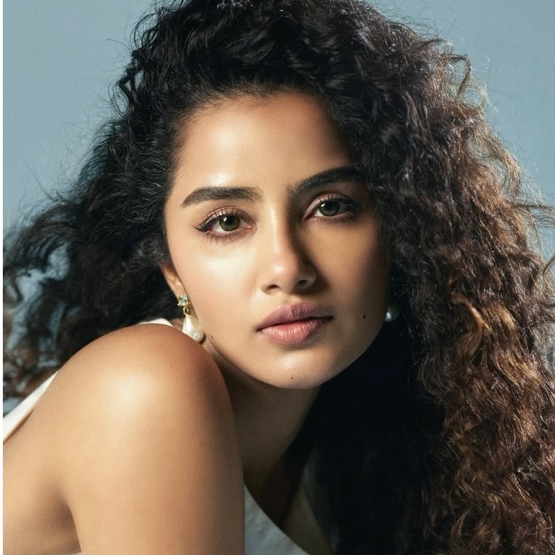 Anupama Parameswaran explains viral posts amid Dhruv Vikram breakup rumours