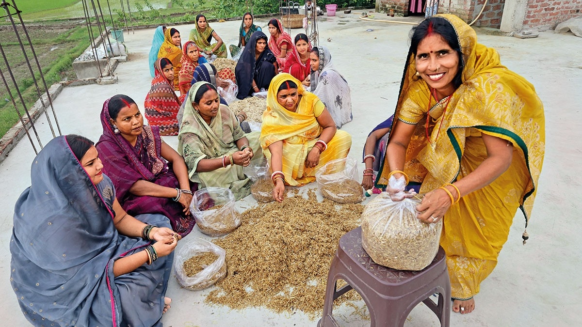 Mushroom mahila | Bina Devi, 49 Mushroom farmer Tilkari, Bihar