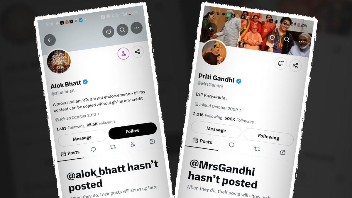 BJP's new social media team: Why did timelines of Priti Gandhi, Alok Bhatt vanish?