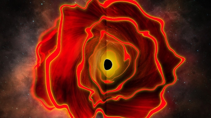 Black hole star discovery