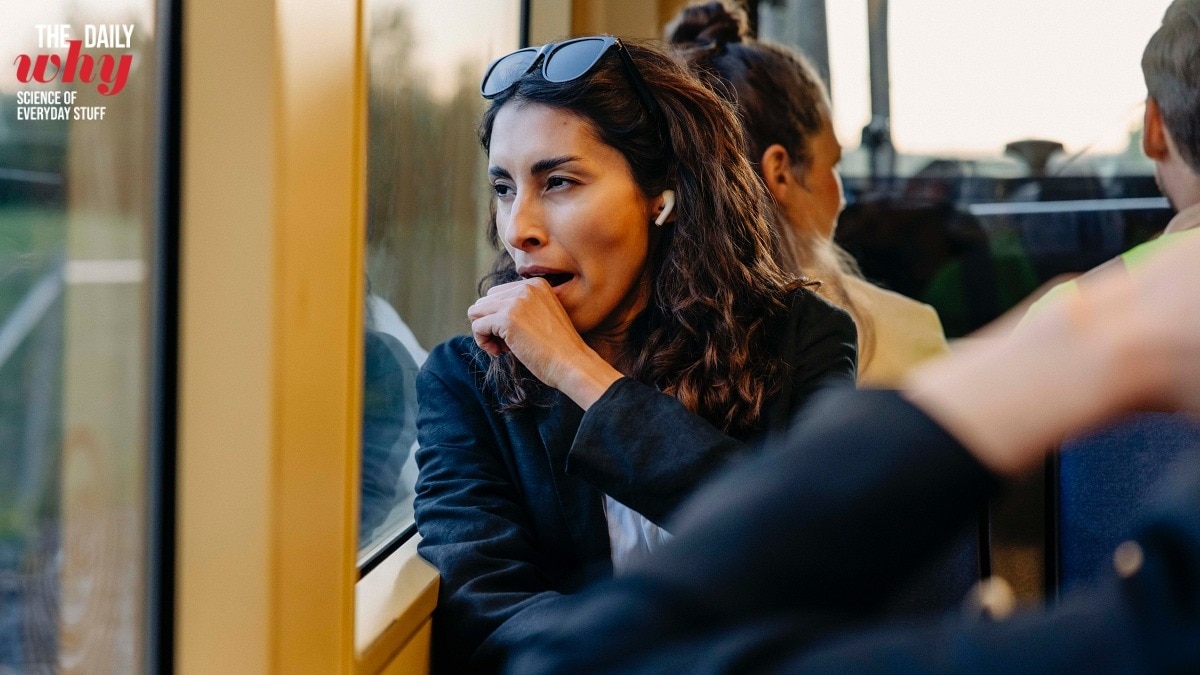 Why do we yawn when someone else yawns? There is science behind it