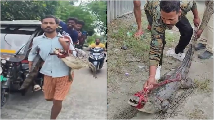 A Bihar farmer has gone viral for carrying a crocodile to the police station on his back. crocodile