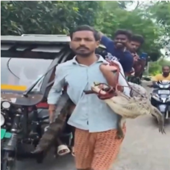 Bihar farmer casually walks into police station with a crocodile on his shoulder