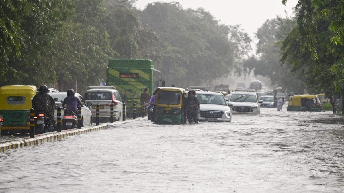 Delhi civic body chairman's rare apology after waterlogging mess in capital