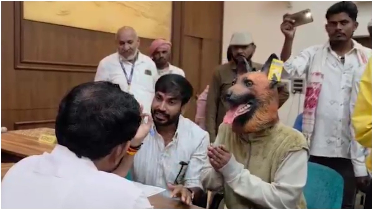 मध्य प्रदेश की सार्वजनिक सुनवाई में कुत्ता आया, बेकाबू आवारा कुत्तों के खिलाफ हाथ जोड़ कर विरोध