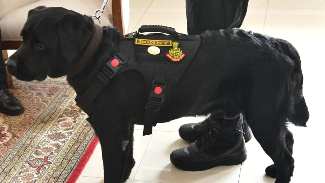 NSG dog Donny gets Army honour for Red Fort blast operations
