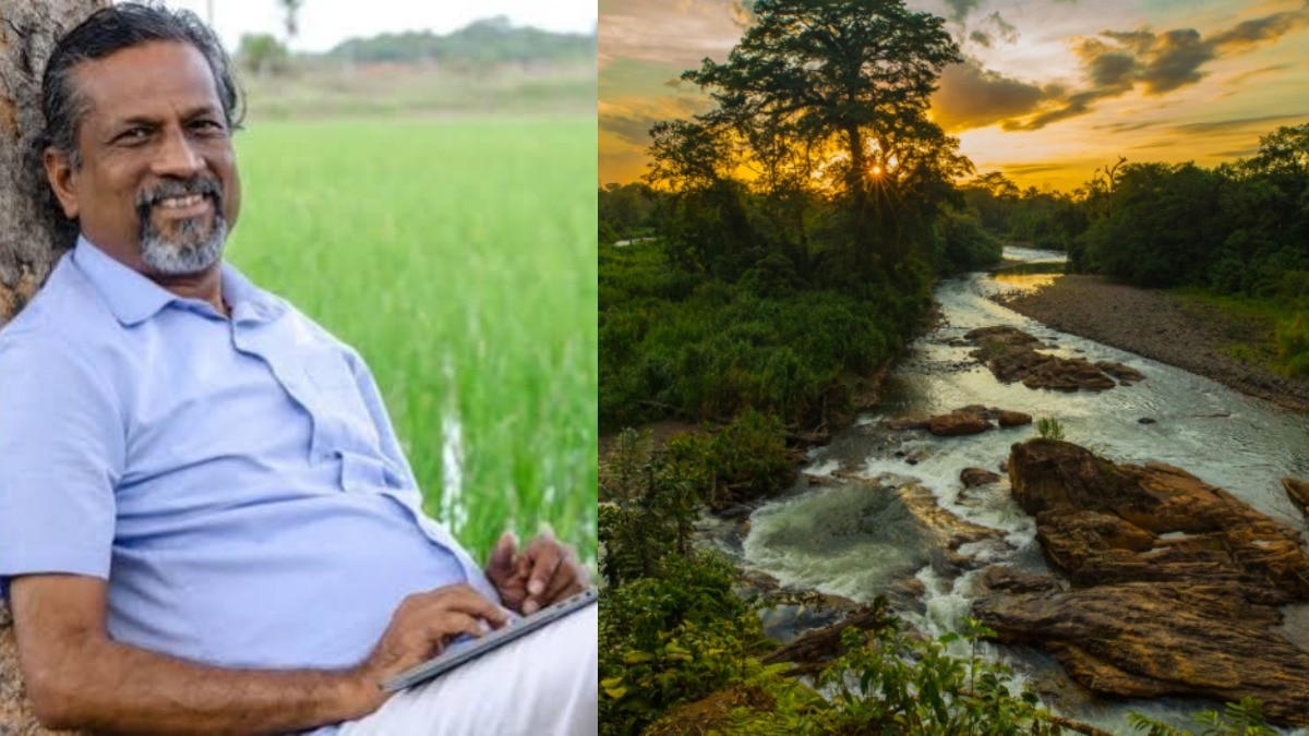 Forest bathing study: 3 day forest walk boosted NK cells for 30 days