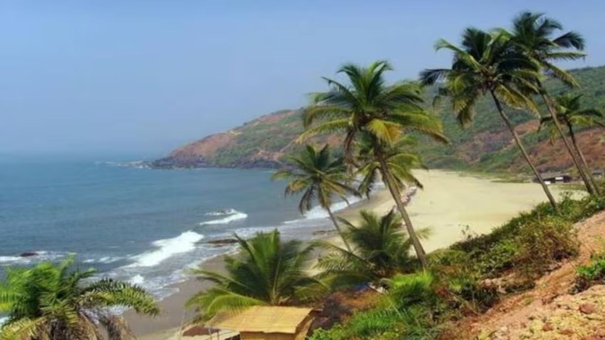 Goa draws 61 lakh visitors in 7 months, winter bookings surge
