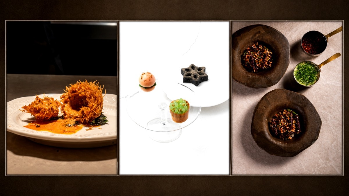 From tribal chutney to tasting menus: How ants went gourmet in India