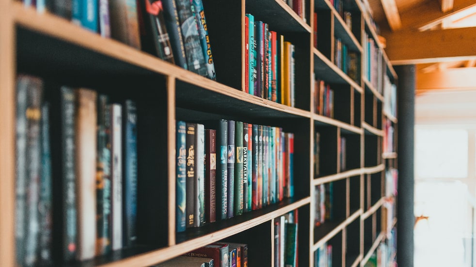 Indian Philosophy for Young Beginners (Representative pic from Pexels)