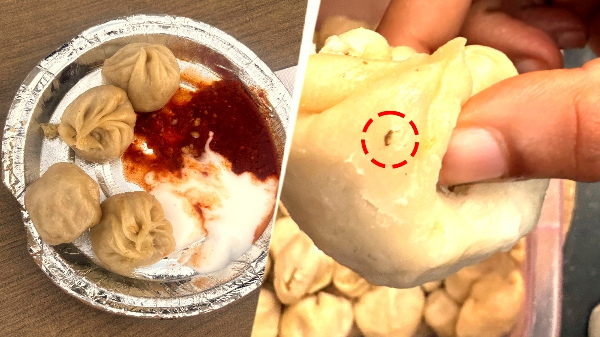 A customer alleged that he found worms in momos at a restaurant in Indore. (Source: ITG)