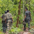 Karnataka forest Karnataka forest