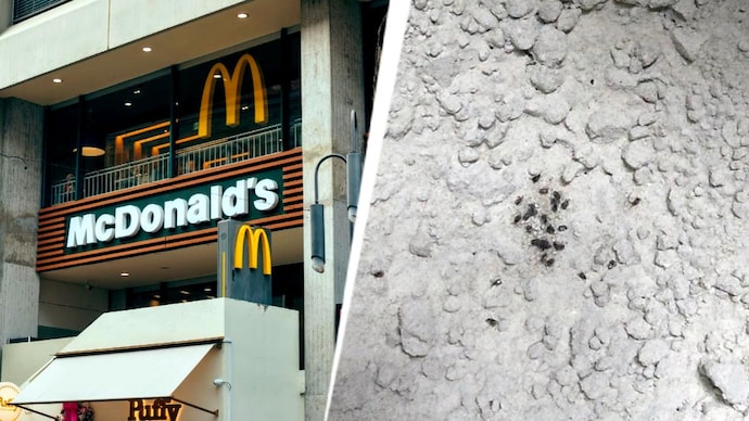 FDA officials inspected 89 hotels, restaurants and dhabas across Maharashtra, issuing improvement notices to 71 establishments and suspending the licences of 13. maharashtra fda suspends licences mcdonalds