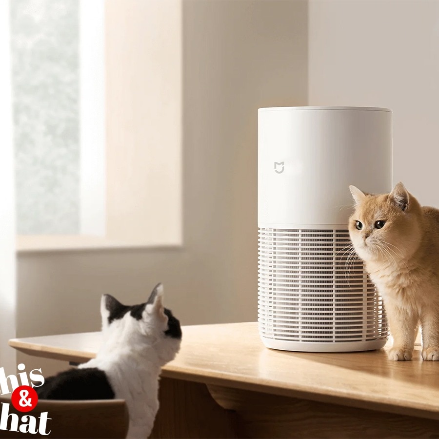Xiaomi is a household name in India, with Mijia it wants to make Indian houses smart