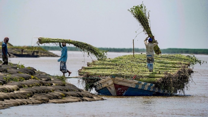 On August 4, India's heaviest rain will fall not on its cities but its hills. The IMD expects over 20 cm across parts of Assam, Meghalaya, Sikkim and north Bengal as five weather systems line up at once. (Photo: PTI)