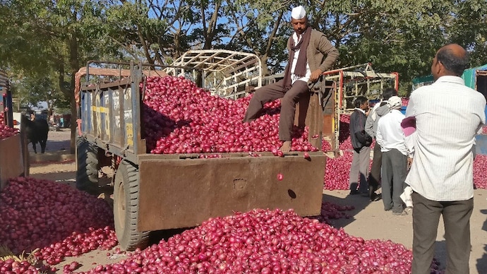 To avoid a sudden rise, the government has decided to release buffer onions in a targeted manner. (Photo: Reuters)