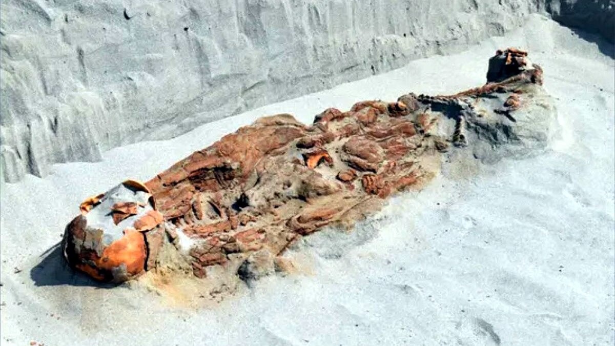 100 skeletons, medieval settlement found near India-Pakistan border in Kutch