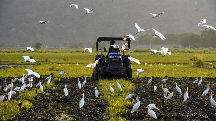 Punjab farmers