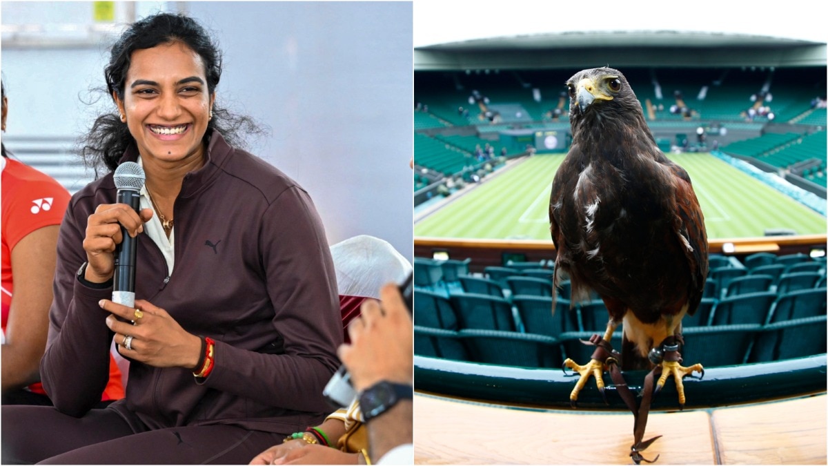 BWF World Championships 2026: PV Sindhu defends Delhi monkey whisperer plan, cites Wimbledon hawk